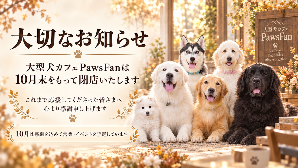 大型犬カフェPawsFan – 千葉県千葉市に2025年4月5日オープン！大型犬と